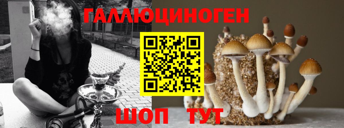 Строитель  Псилоцибиновые грибы мицелий  где найти наркотики  Псилоцибиновые грибы GOLDEN TEACHER  Вход с VPN 